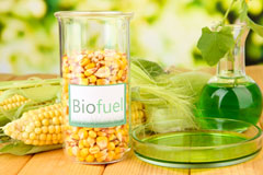Bellingham biofuel availability