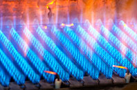 Bellingham gas fired boilers